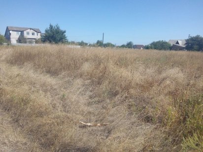 Продам земельный участок Олександрія