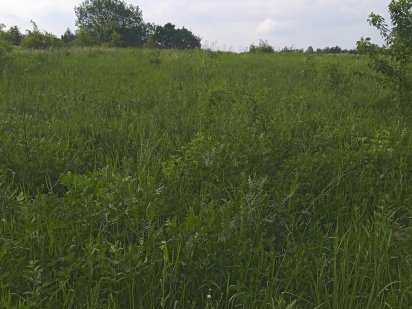 Земельна ділянка