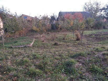 Продаж 3-х ділянок по 10сот.+ будинок в р-ні М'ясокомбінату Бердичів