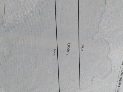 Продам в Бобровиці 1 Га землі для ведення особистого с/г Бобровиця