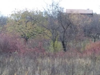 Продам дачний участок в м. Берегово, Закарпатської області Берегове