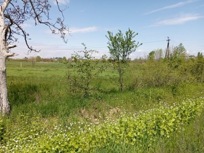 9 соток под застройку Берегово Закарпатье