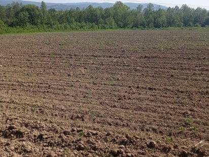 Продаж землі ОСГ Борислав