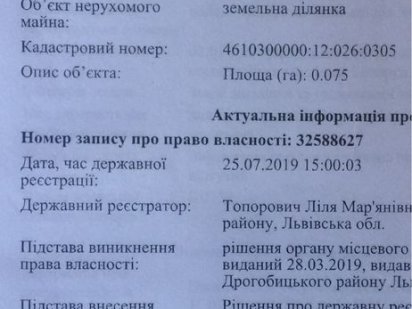 Земельна ділянка Борислав