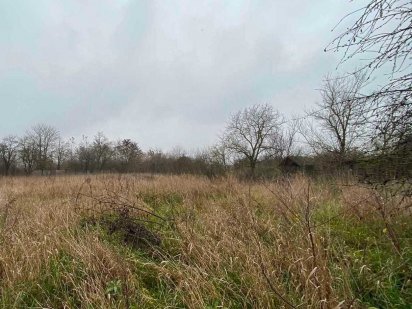 ЗЕМЕЛЬНИЙ МАСИВ 80 СОТОК для будівництва житла Берегово