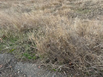 Продается участок по ул. Парковая Белгород-Днестровский