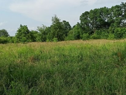 Земельна ділянка р-н Буковиці Борислав