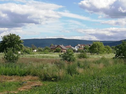 Земельна ділянка Борислав, вул. Гонти Борислав