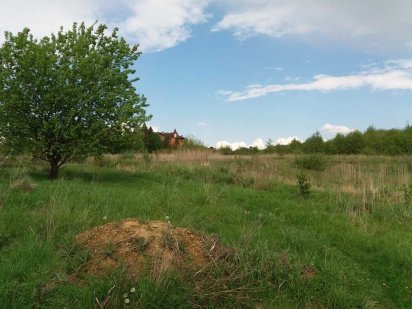 Під об’єкти рекреаційного призначення! 60 сот на вул. Трускавецька Борислав