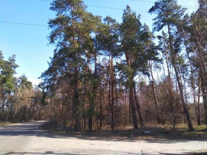 Продам земельну ділянку м. Васильків, Київська обл.