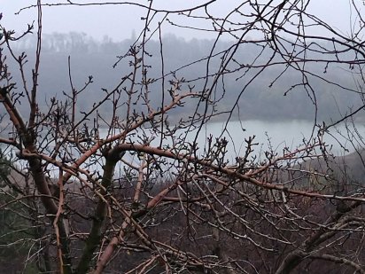 Продам дачну ділянку з битовкою Васильків