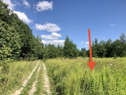 Боярка продам пай 1,5 Га за 35000$ примыкает к барвинку