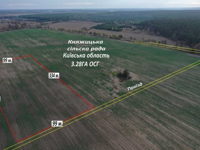 Княжичи 3.28 га продаж