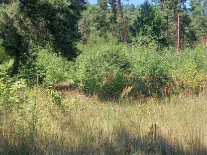 Боярка продам участок 2 га в центре города