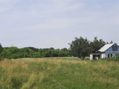 Участок под строительство в с. Большая Ольшанка Васильковского района Васильков