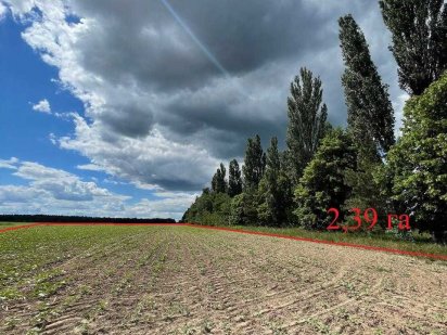 Забір`я, продаж ділянки 2.39 га. Асфальтований під'їзд.