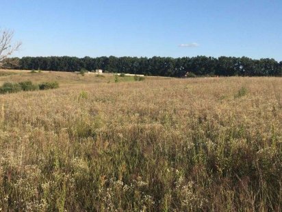 Боярка продам участок 1.3 га, фасад 213 метров