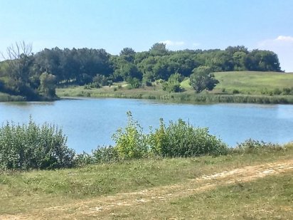 Продам видову земельну ділянку