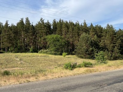 Ділянка 43 сотки під забудову в лісі озеро поруч