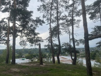 Участок в сосновом лесу 70 сот Васильков