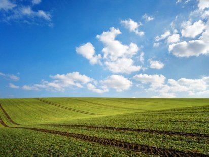 Продам землю 2гектара Каменское