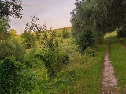 продам земельну ділянку