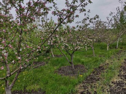 Продам дачный участок Каменское