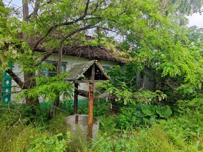 Продается дом(хата) + два участка земли Каменское