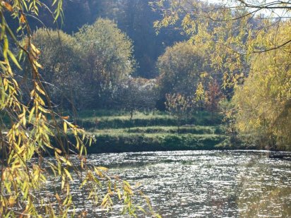 Ухоженное ранчо на юго-западе Закарпатской области