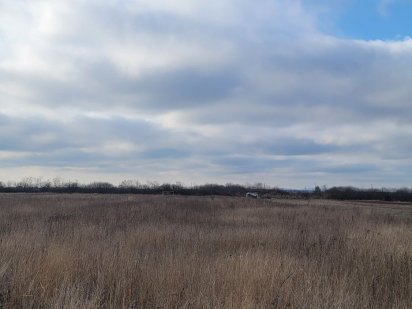 Продам землю 2 гектари Виноградів Виноградов