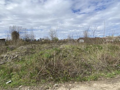 Продається(здається в оренду) земельна ділянка 0,34 га Виноградов