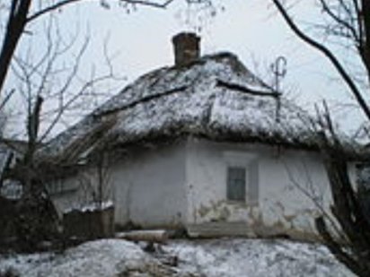 Участок с Николаевка Петриковского районаиковского района Кам'янське