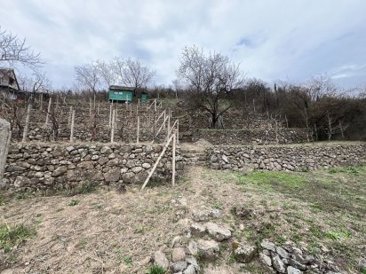 Дачна ділянка Виноградов