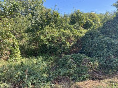 Продам участок 6 соток Васильків