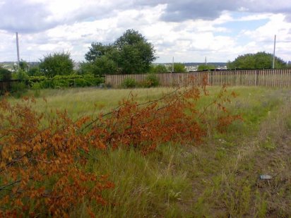 Земельный участок в Василькове