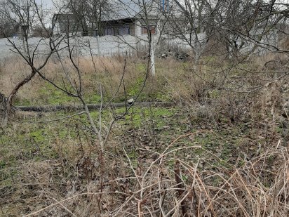 Дачный участок без построек Власовка