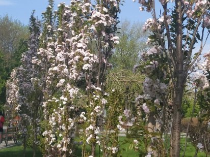 Участок для строительства дома.Власовка Власовка