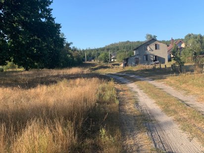 Супер ділянка Поляна біля соснового лісу