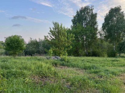 Продам земельну ділянку, 15 соток, м. Васильків, Крячки