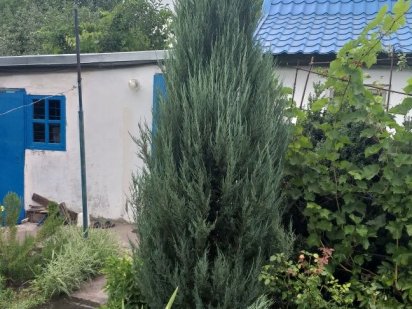 Продам дачный участок Кам'янське