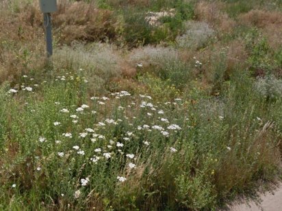 Земельна ділянка  під забудову. Вознесенськ