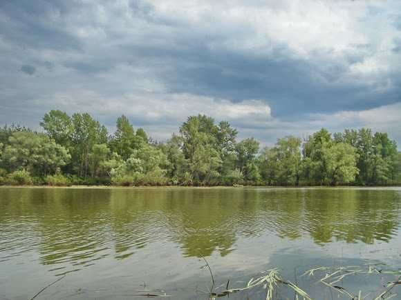 ГЛЯДИН. Земельна ділянка на березі обвідного каналу - фото 1