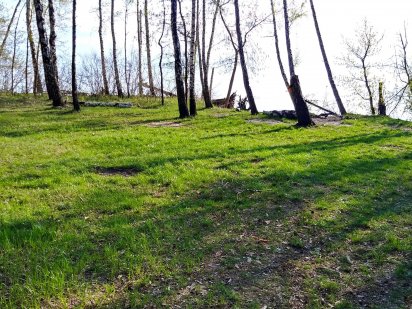 Перша лінія Київського моря, ліс Вишгород