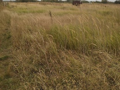 Земельный участок без комиссии Васильков