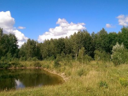 Участок со своим озером ,с.Андреевка,Вышгородский р-н.Киевская обл. Вишгород
