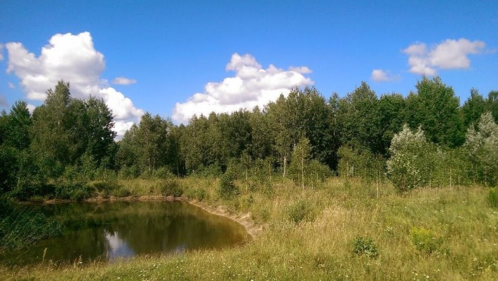 Участок со своим озером ,с.Андреевка,Вышгородский р-н.Киевская обл. - фото 1