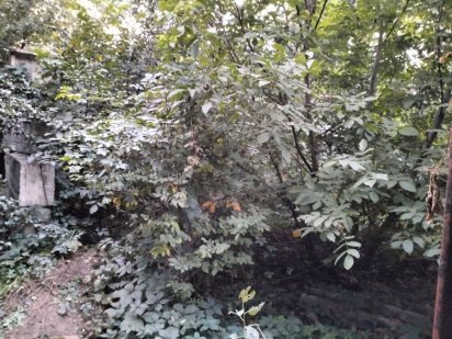 Продам участок в центре города под Ваш бизнес Кам'янське