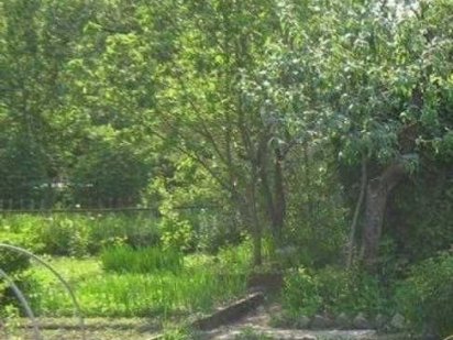 Продам дачный участок Высокий