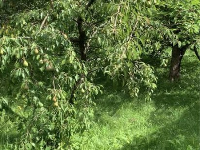 Продам участок Глухів