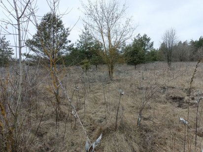 Продам земельный участок Кам'янське